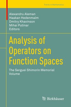 Analysis of Operators on Function Spaces (eBook, PDF)