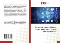 Détection d'anomalies en temps réel sur des flux de données massifs - Hasani, Zirije