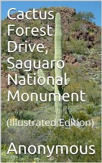 Cactus Forest Drive, Saguaro National Monument (eBook, PDF) - Anonymous