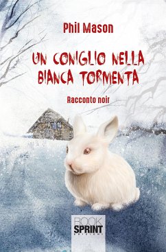 Un coniglio nella bianca tormenta (eBook, ePUB) - Mason, Phil