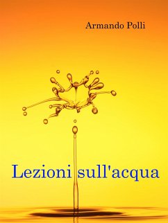 Lezioni sull'acqua (eBook, ePUB) - Polli, Armando