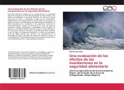 Una evaluación de los efectos de las inundaciones en la seguridad alimentaria - Ikani Idoko, Daniel