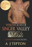 Werewolves of Singer Valley (eBook, ePUB)