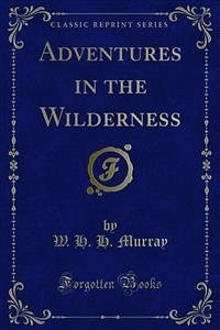 Adventures in the Wilderness (eBook, PDF)