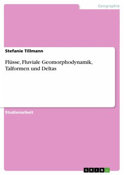 Flüsse, Fluviale Geomorphodynamik, Talformen und Deltas (eBook, ePUB) - Tillmann, Stefanie