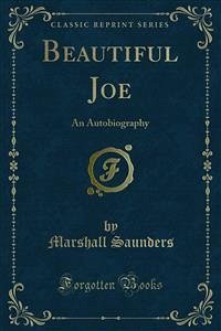 Beautiful Joe (eBook, PDF)