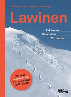 Lawinen - Mersch, Jan;Fleischmann, Markus;Mittermayer, Helmut