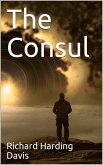 The Consul (eBook, PDF)