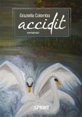 Accidit (eBook, ePUB)