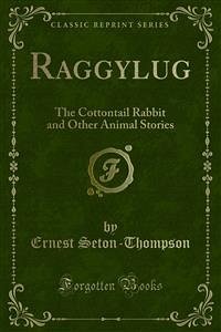 Raggylug (eBook, PDF)