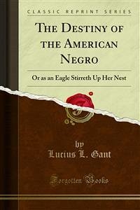 The Destiny of the American Negro (eBook, PDF)