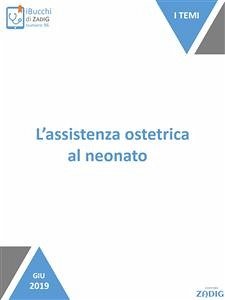 L'assistenza ostetrica al neonato (eBook, ePUB) - Fumagalli; Maria Panzeri, Simona