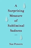 A Surprising Measure of Subliminal Sadness (eBook, ePUB)