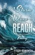 A Storm Wave's Reach (eBook, ePUB) - Bild 1