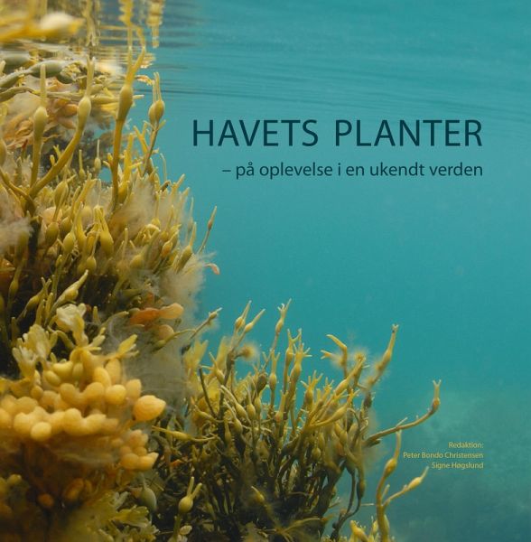 Havets planter (eBook, PDF)