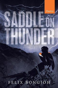 Cover Saddle on Thunder (eBook, ePUB)