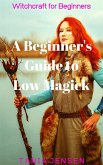 A Beginner's Guide to Low Magick (Witchcraft for Beginners, #1) (eBook, ePUB)
