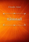 Kleinstadt (eBook, ePUB)