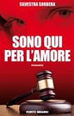 sono qui per l'amore (eBook, ePUB)