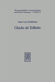 Glaube als Teilhabe (eBook, PDF)