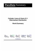 Cylinder Liners & Parts (C.V. Aftermarket) Distribution World Summary (eBook, ePUB)