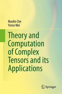 Theory and Computation of Complex Tensors and its Applications (eBook, PDF) - Che, Maolin; Wei, Yimin