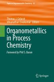 Organometallics in Process Chemistry (eBook, PDF)