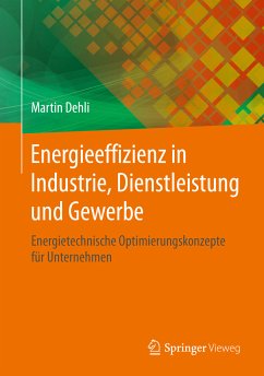 Energieeffizienz in Industrie, Dienstleistung und Gewerbe (eBook, PDF) - Dehli, Martin