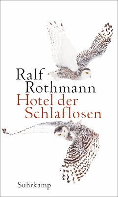 Hotel der Schlaflosen (eBook, ePUB) - Rothmann, Ralf