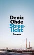 Streulicht (eBook, ePUB) - Bild 1