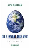 Die verwundbare Welt (eBook, ePUB)