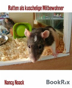 Ratten als kuschelige Mitbewohner (eBook, ePUB) - Noack, Nancy