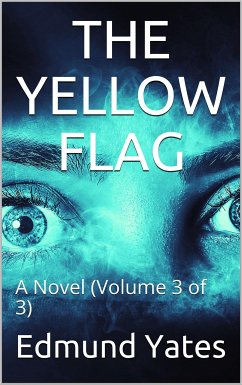 The Yellow Flag (eBook, PDF) - Yates, Edmund