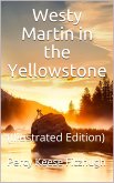 Westy Martin in the Yellowstone (eBook, PDF)