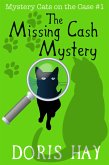The Missing Cash Mystery (eBook, ePUB)