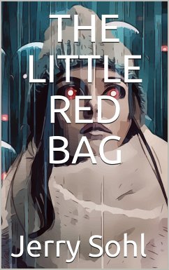 The Little Red Bag (eBook, PDF) - Sohl, Jerry