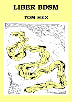 Liber BDSM (eBook, ePUB) - Hex, Tom