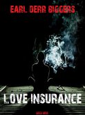 Love Insurance (eBook, ePUB)