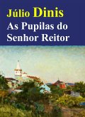 As Pupilas do Senhor Reitor (eBook, ePUB)