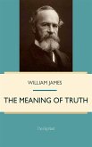 The Meaning of Truth (eBook, ePUB)