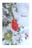Bosco (eBook, ePUB)