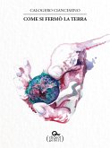 Come si fermò la Terra (eBook, ePUB)