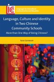 Language, Culture and Identity in Two Chinese Community Schools (eBook, ePUB)