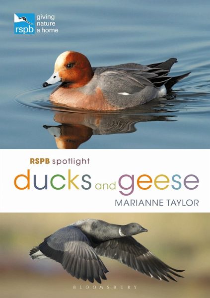 RSPB Spotlight Ducks and Geese (eBook, PDF) RSPB Spotlight Ducks and Geese (eBook, PDF)
