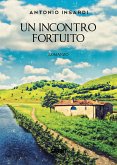 Un incontro fortuito (eBook, ePUB)