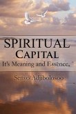 Spiritual Capital (eBook, ePUB)