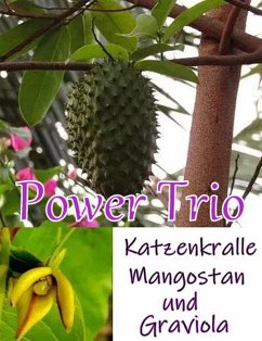 Cover Power Trio (eBook, ePUB)