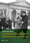 Staatsmann im Sturm (eBook, ePUB)