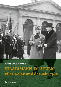 Staatsmann im Sturm (eBook, ePUB) - Born, Hanspeter