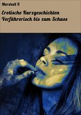 Erotische Kurzgeschichten Verführerisch bis zum Schuss (eBook, ePUB)